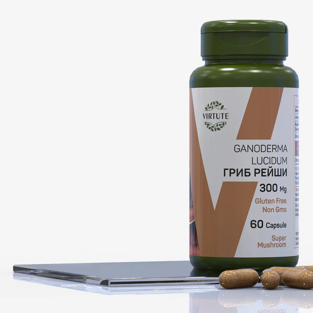GANODERMA LUCIDUM ГРИБ РЕЙШИ