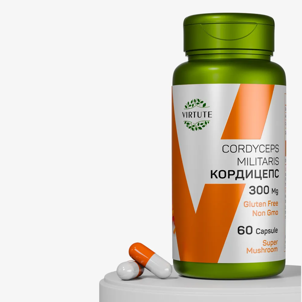 CORDYCEPS MULITARIS КОРДИЦЕПС
