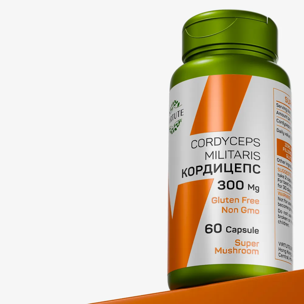 CORDYCEPS MULITARIS КОРДИЦЕПС