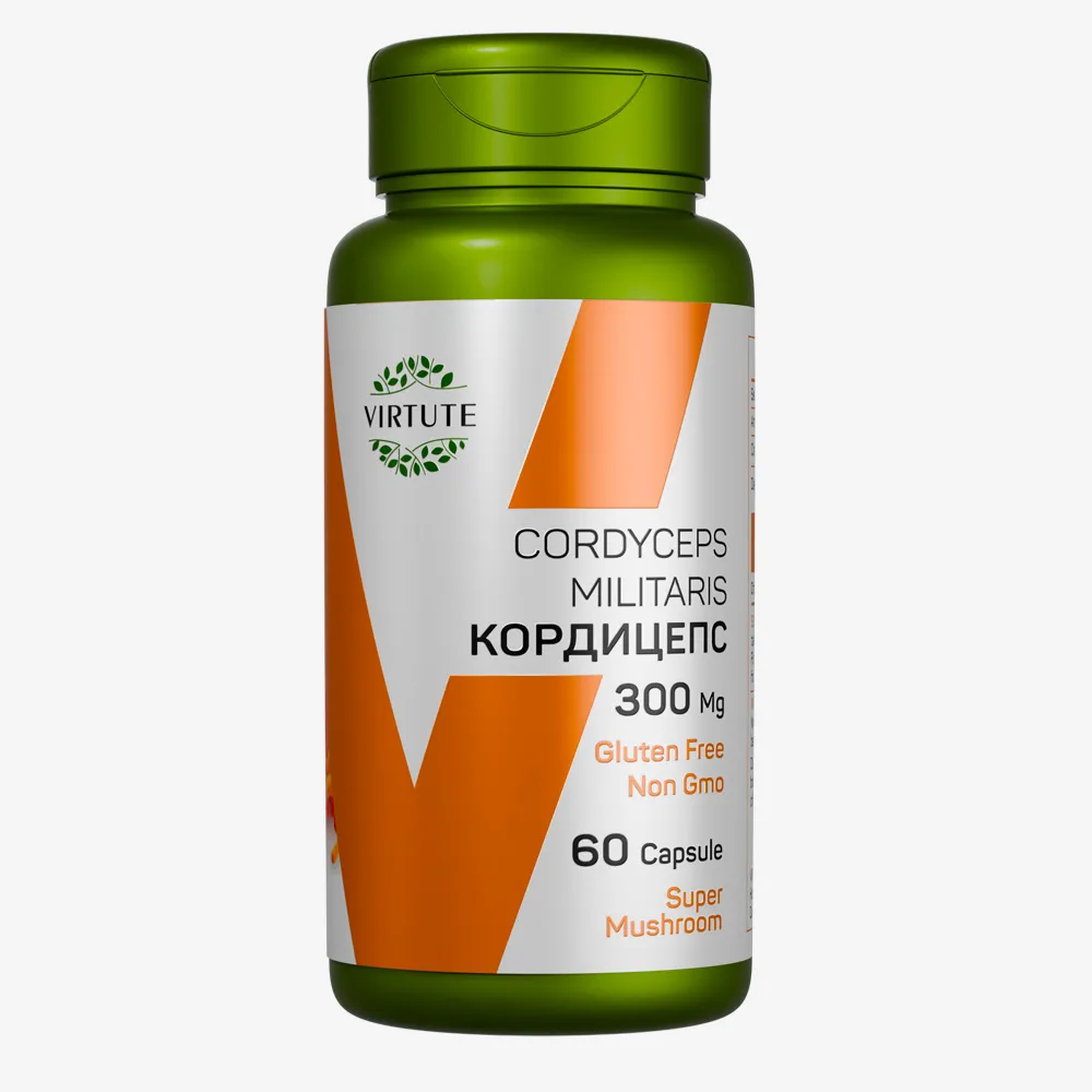 CORDYCEPS MULITARIS КОРДИЦЕПС